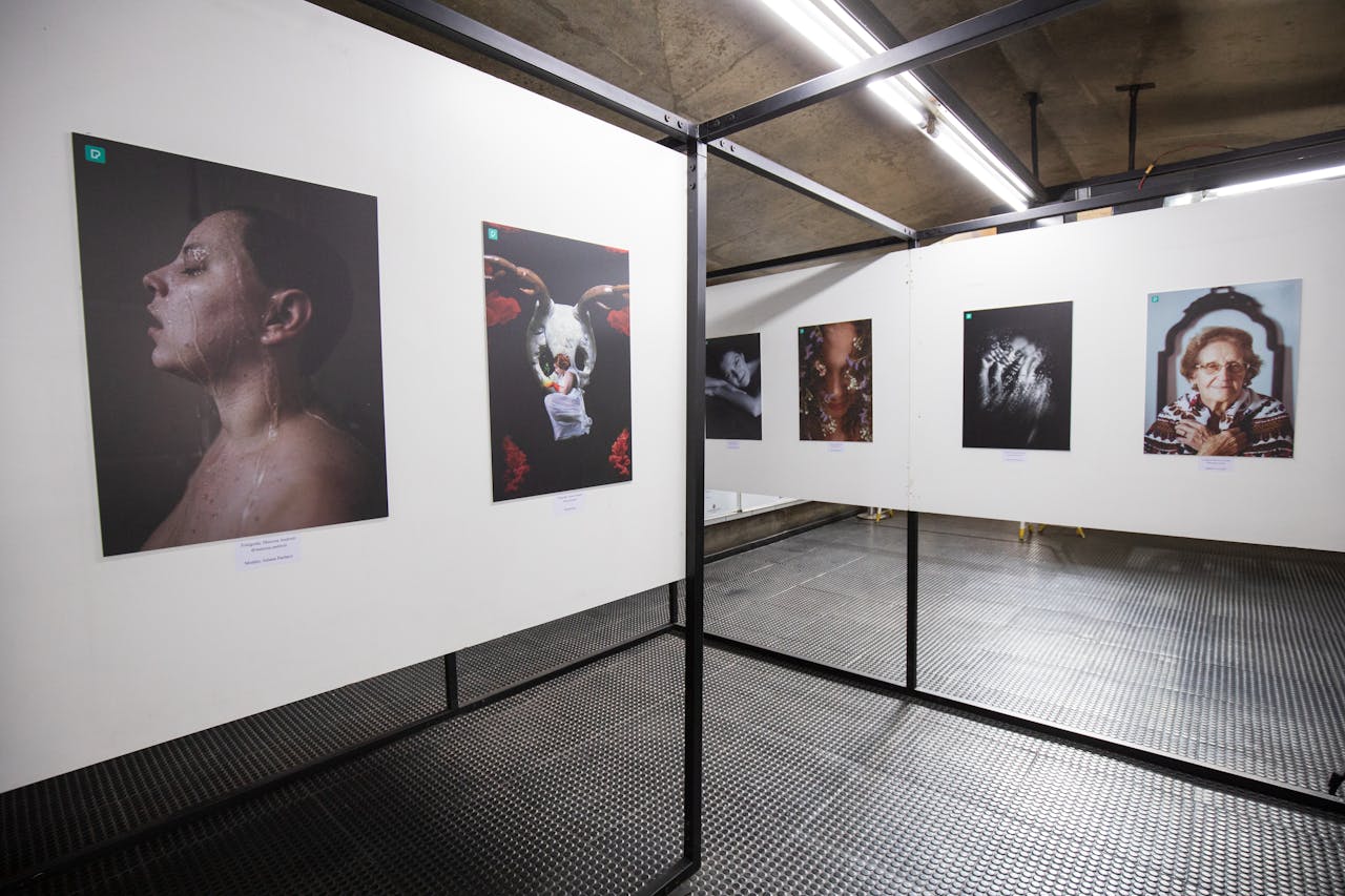 award-img Explore a striking art exhibition featuring diverse portrait photography on display.